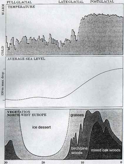 Various graphs